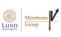 Membrane Group. Logo.