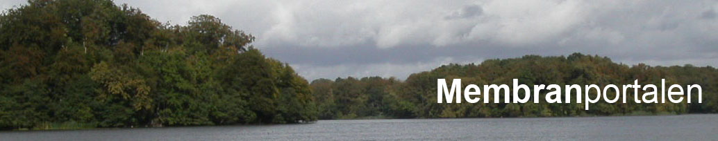 top image