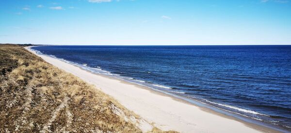 Vit strand med blått hav och horisont. Foto.