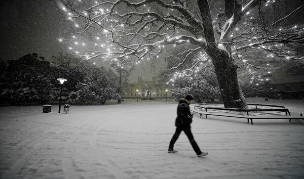 Snöigt landskap, belysning i träd. Foto.
