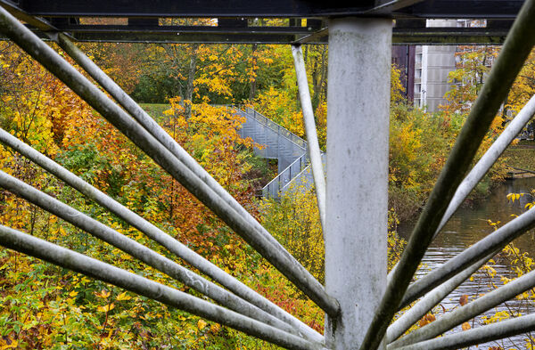 View over the lake Sjön on LTH's campus in Lund. Photo.