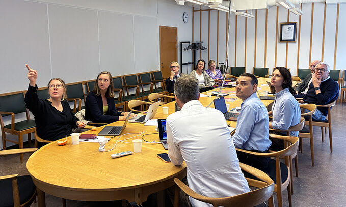 People around a conference table. Photo.
