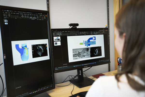 En person syns i förgrunden arbetandes vid två datorskärmar.