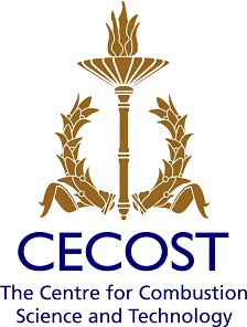 The logotype of CECOST. A torch with a flame in bronze color on top of the text "CECOST The Centre for Combustion Science and Technology" in blue colour.