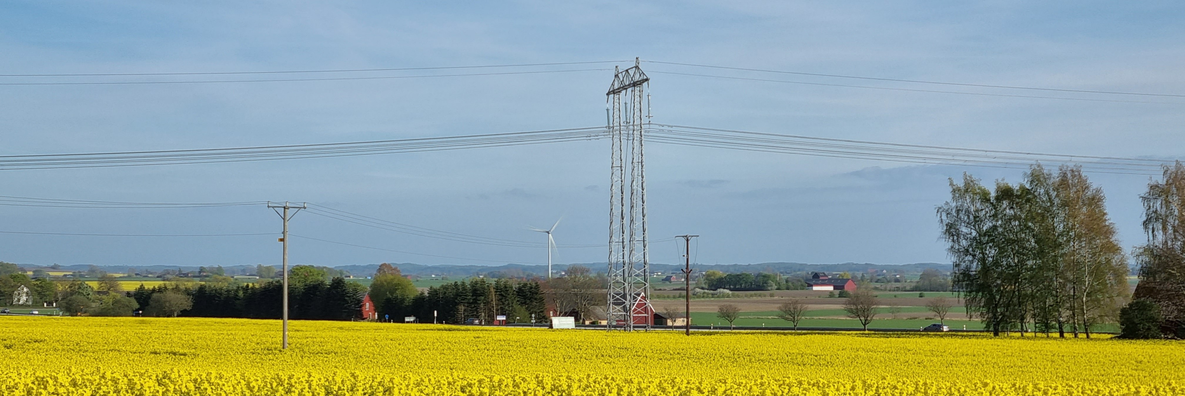 Kraftledningar. Foto.