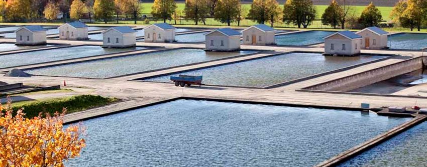 Wastewater Treatment Plant. Photo. 