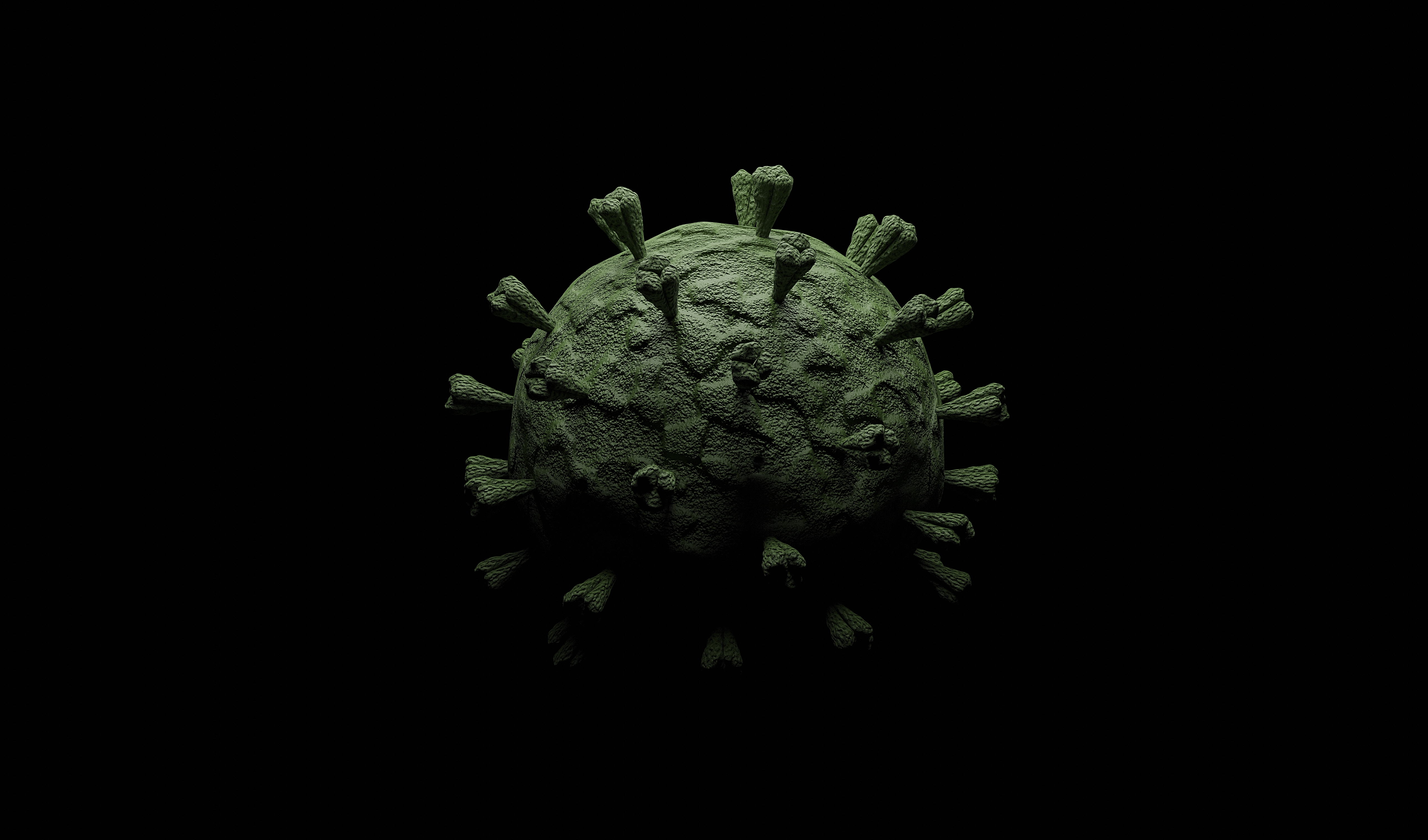 bild coronavirus