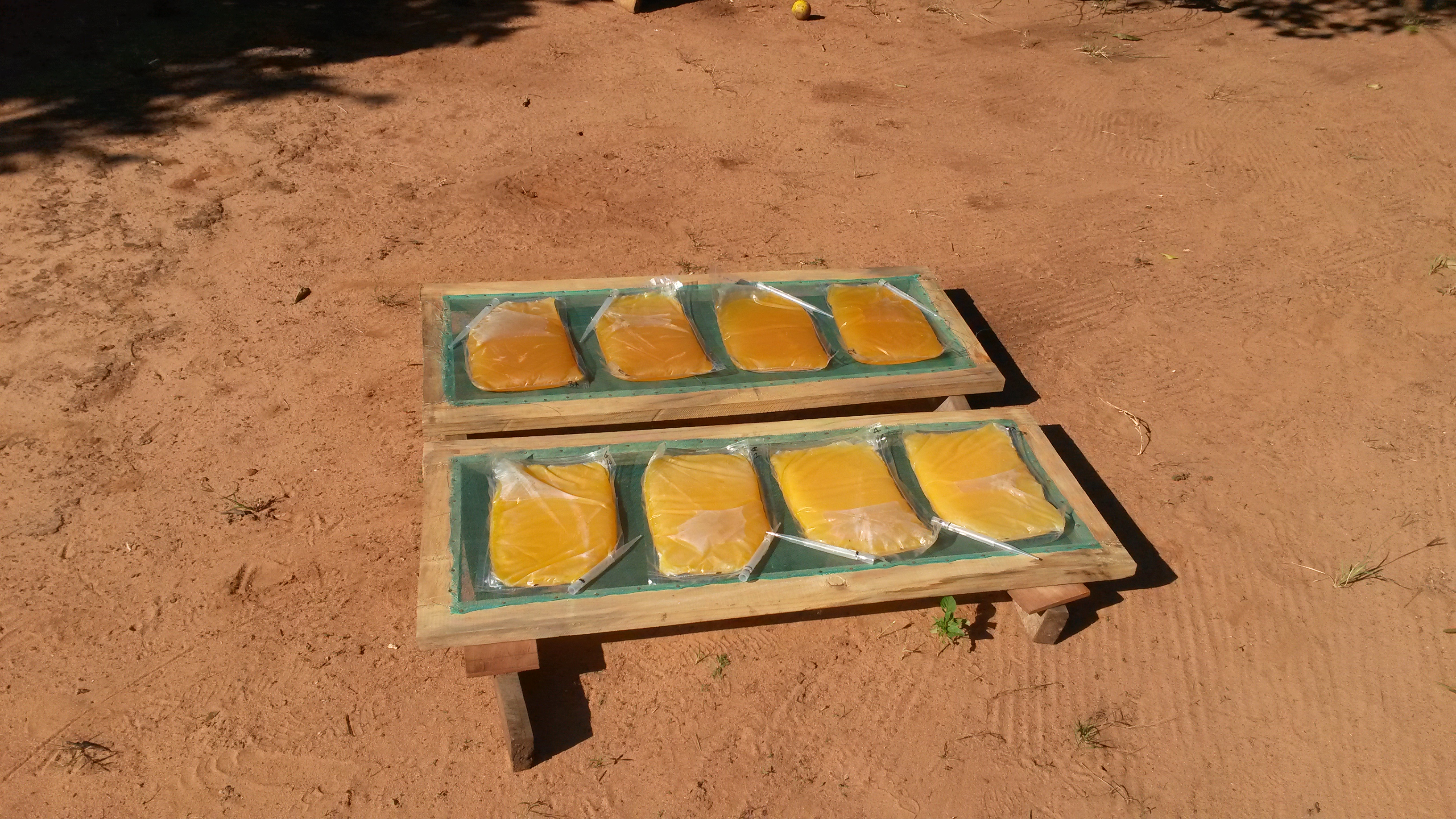 Frukt blir marmelad i Mocambique