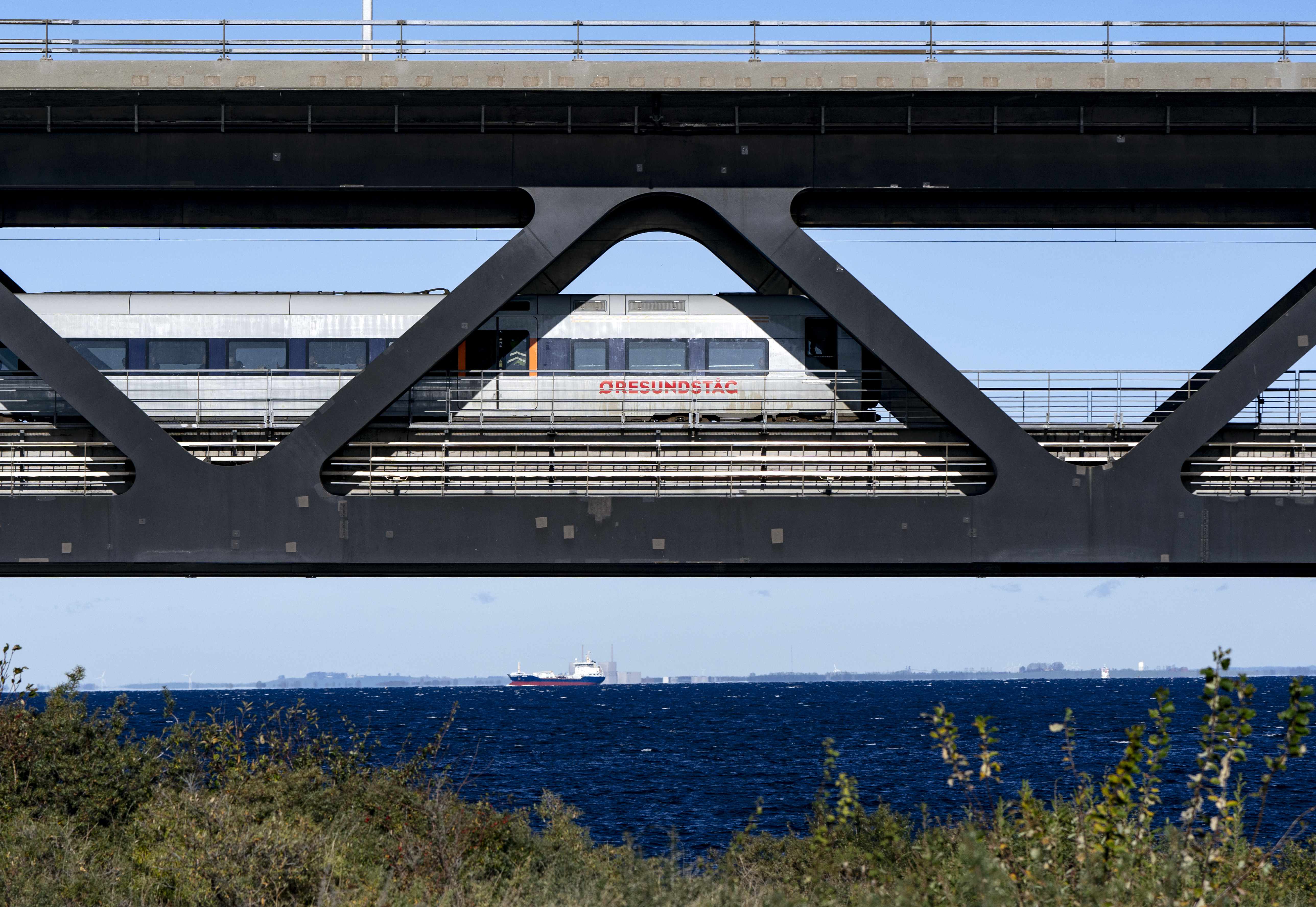Öresundsbrons järnvägsdel syns ovanför ett sommarlandskap. Foto.
