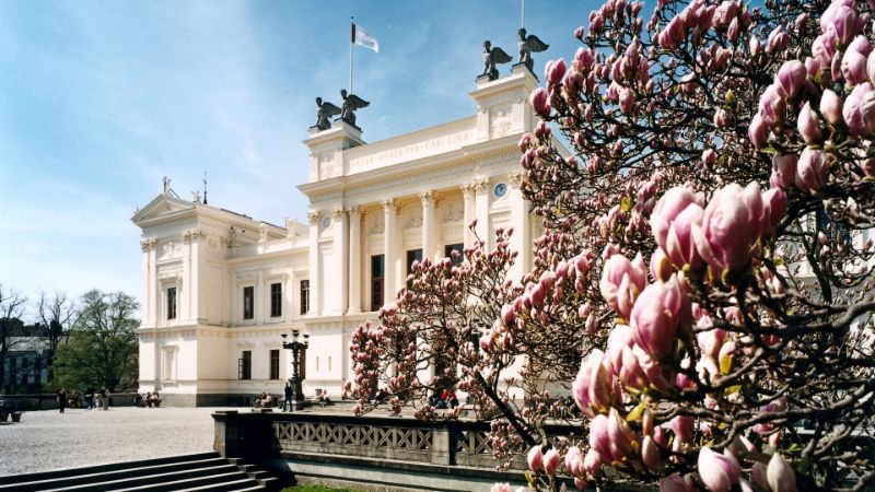 White university building with cherry blossom in the foreground. Photo.