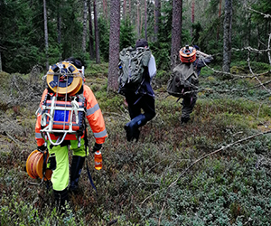 Three persons carrying research equipment in the woods. Photo.