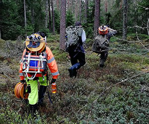 Tre människor som bär på forskningsutrustning i skogen. Foto.