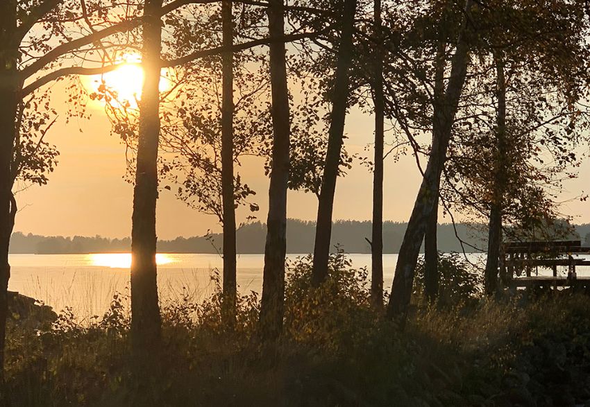 Foto av sjön Bolmen i skymningen med lövträd i förgrunden.