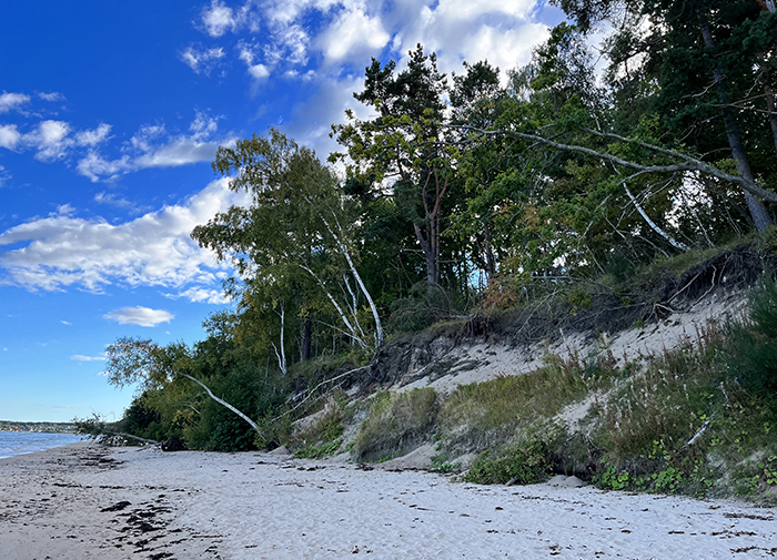 Strand. Foto.