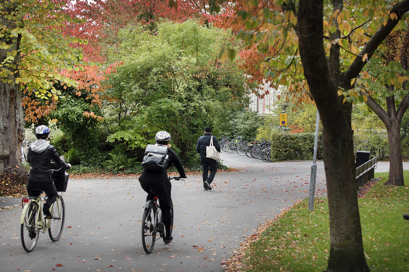Cyklister i Lund. Foto.
