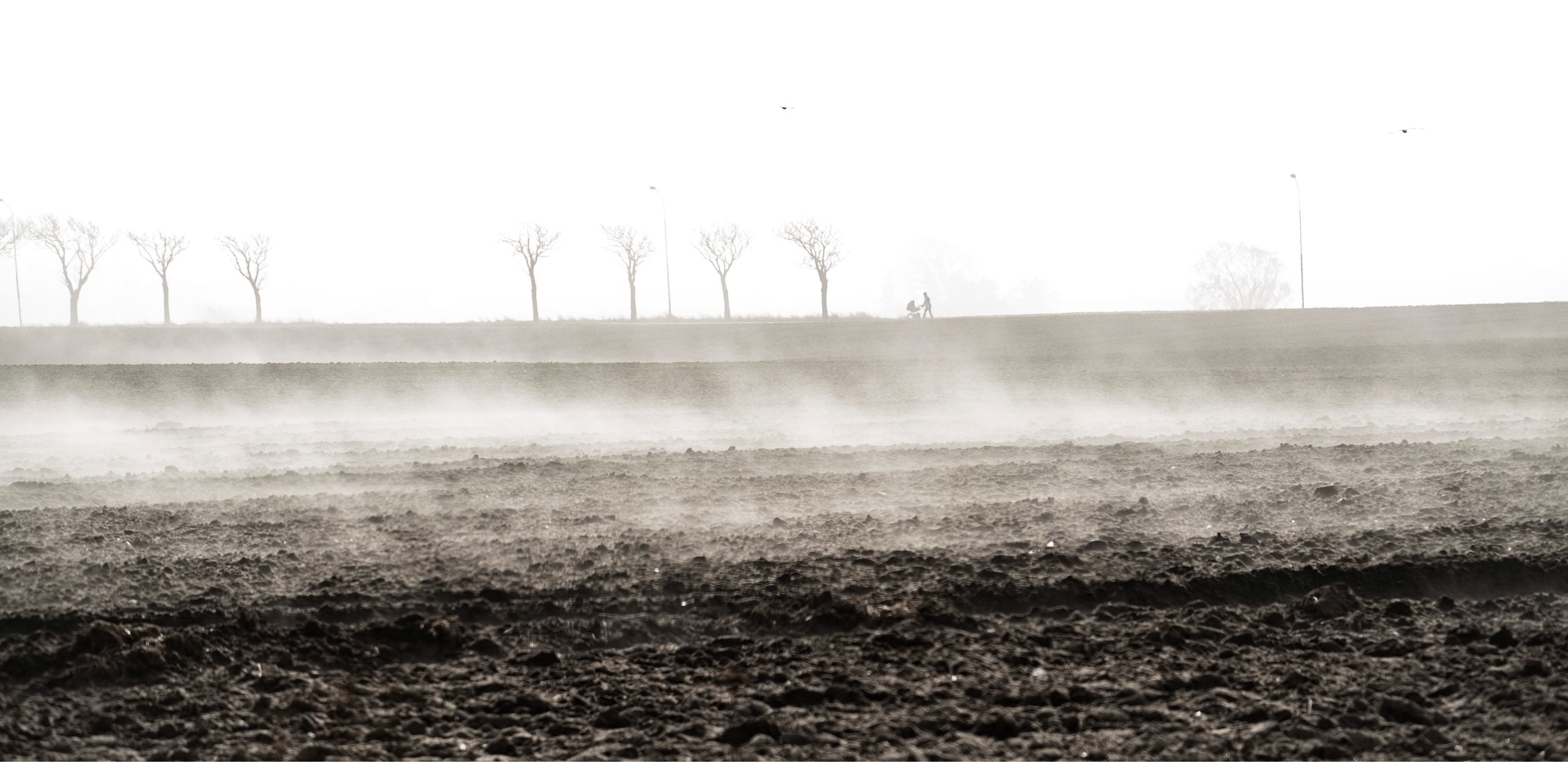 Jord som plöjts, vid horisonten syns pilträd och en person som går med barnvagn.