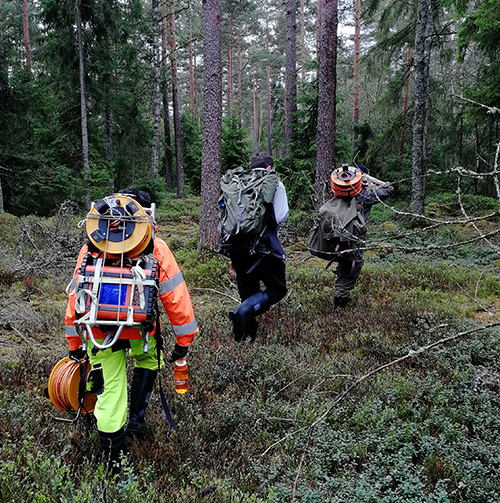 People with research equipment in the forest. Photo.