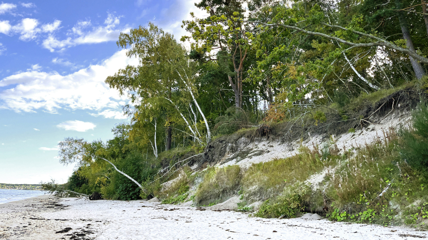 Strand som visar erosion. Foto.