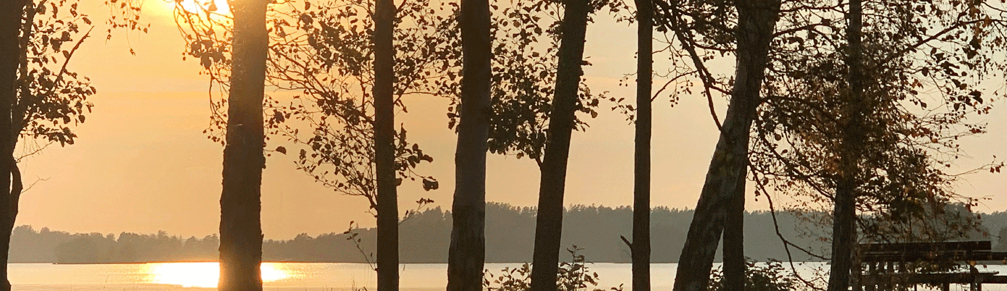 View of Lake Bolmen at sunset with trees in the foreground. Photo.