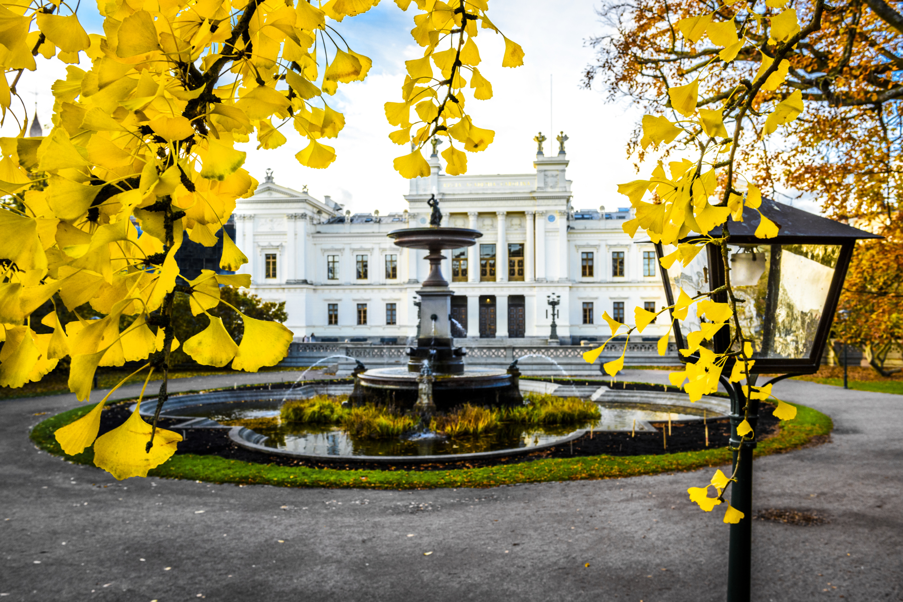 Lund University in autumn. Photo: Kennet Ruona