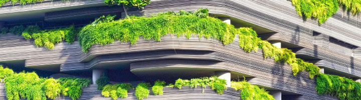 Green buildings. Photo.